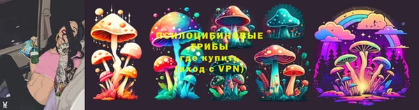 первитин Богородицк