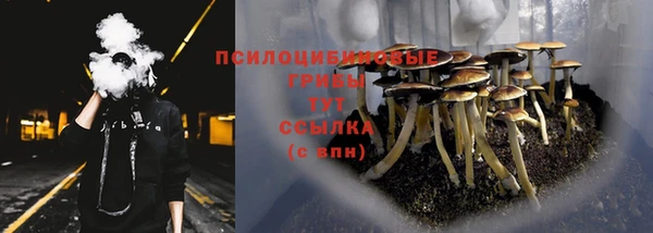 мет Богданович
