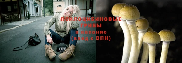 спайс Богородск