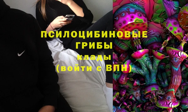 спайс Богородск